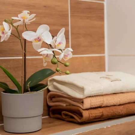 Goszowita Stronie Śląskie