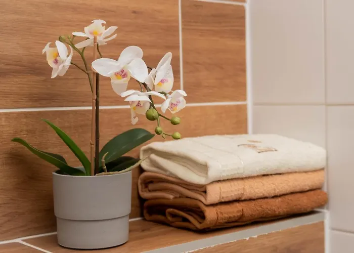 Goszowita Stronie Śląskie